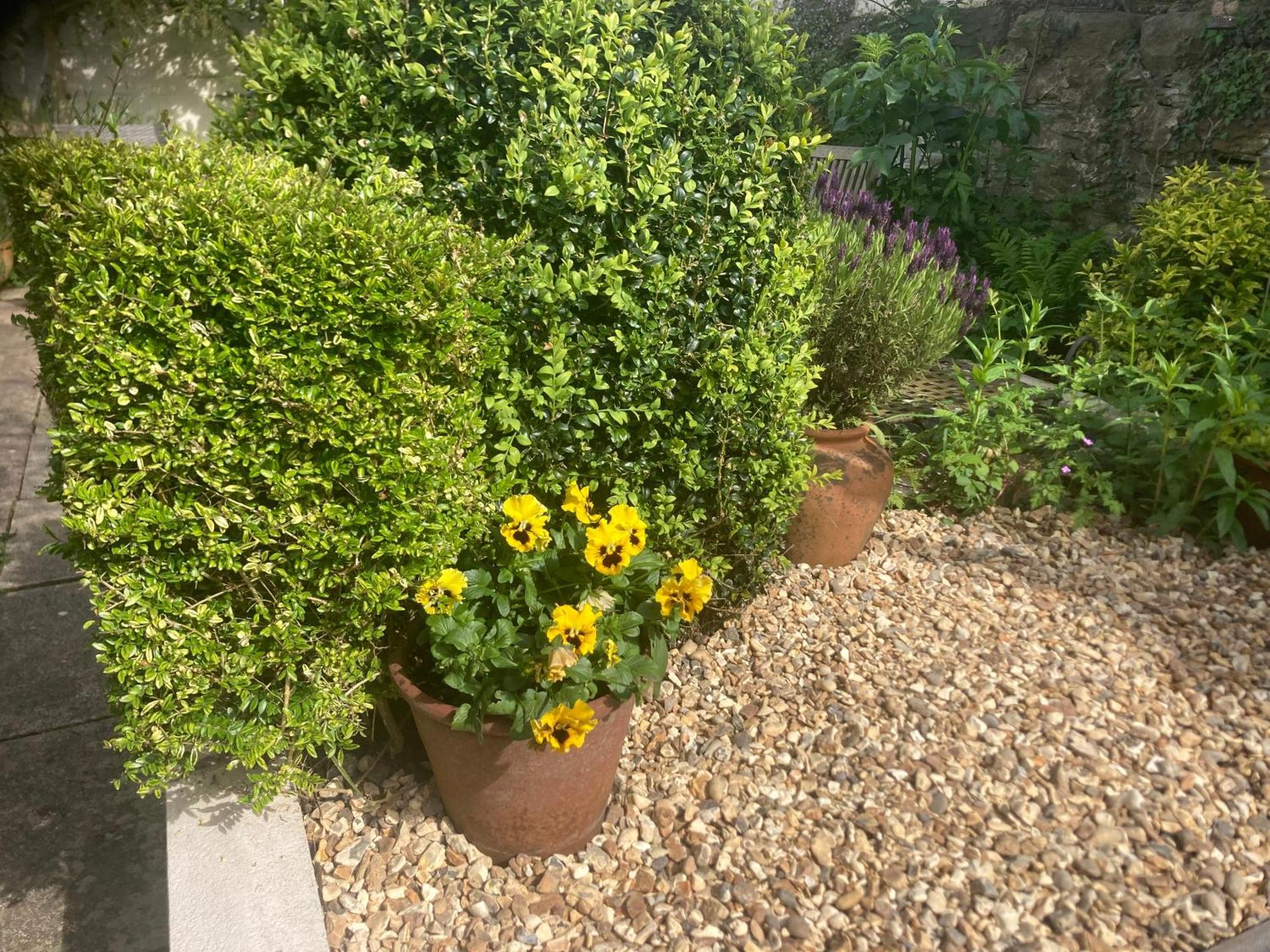 Bryntirion Farmhouse Apartment With Hot Tub Llanfair Caereinion Bagian luar foto